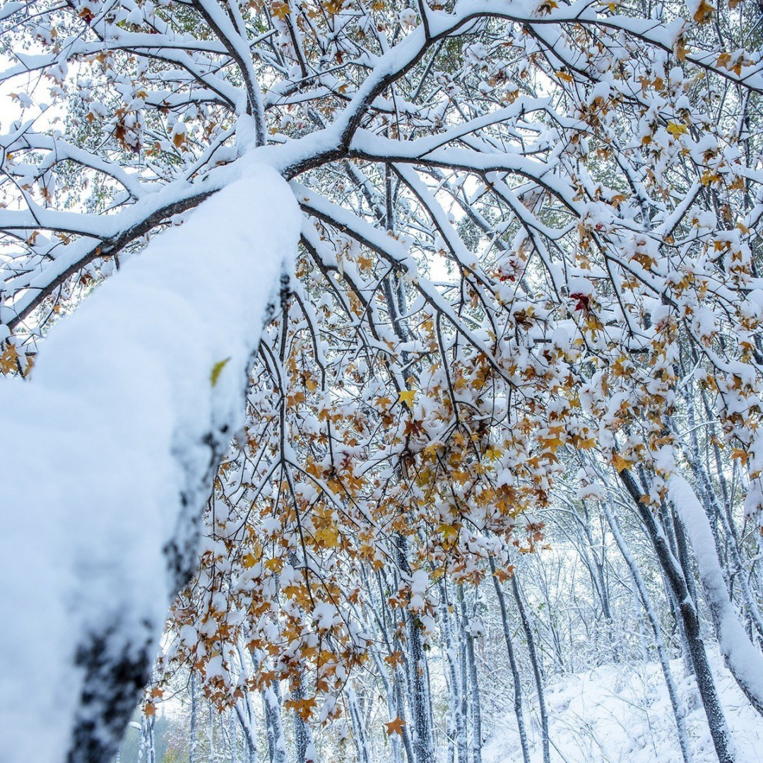  洒落矿山的太阳雪