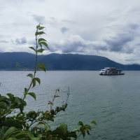  书香氤氲  清流濯心