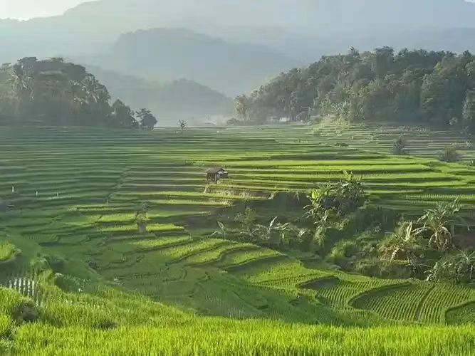  【仙吕·那吒令带过鹊踏枝带过寄生草】春