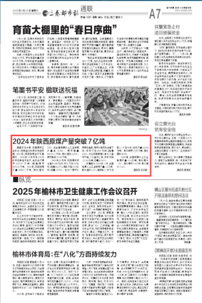 1739091996650210.png 67a2c3913dc01.png