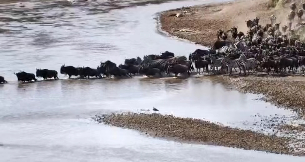 1739515030563113.jpg 微信图片_20240717144702.jpg