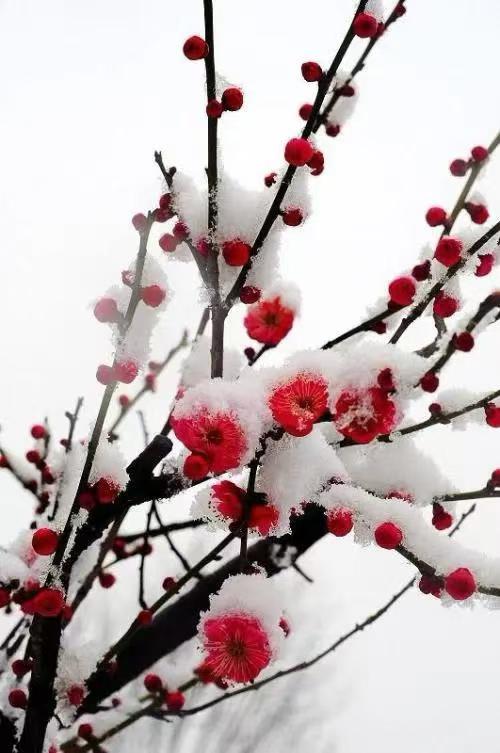 1739516022269508.jpg 微信图片_20241127155800.jpg