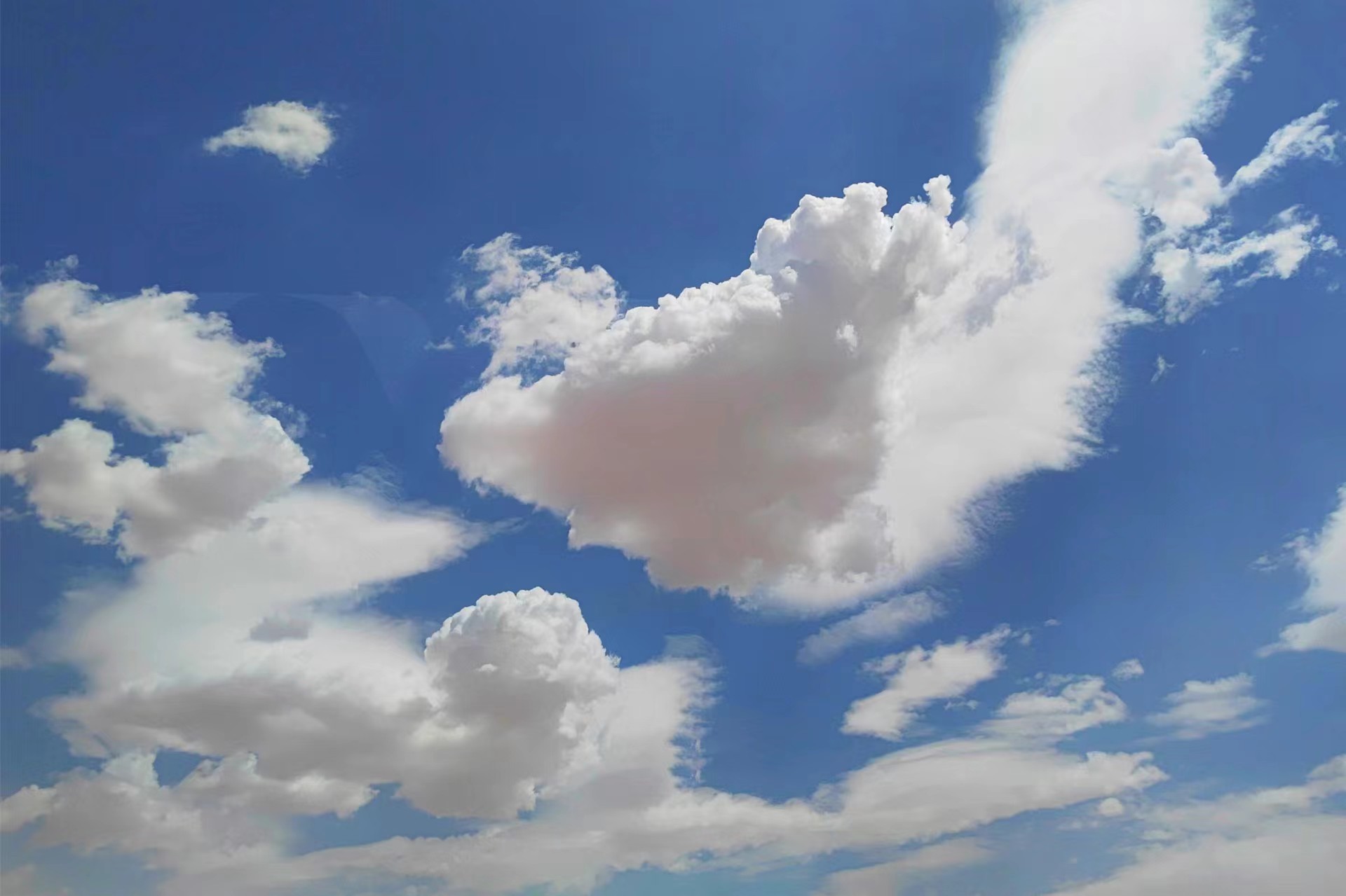 1739518158558165.jpg a02527e3d99af436f12496314cac607.jpg