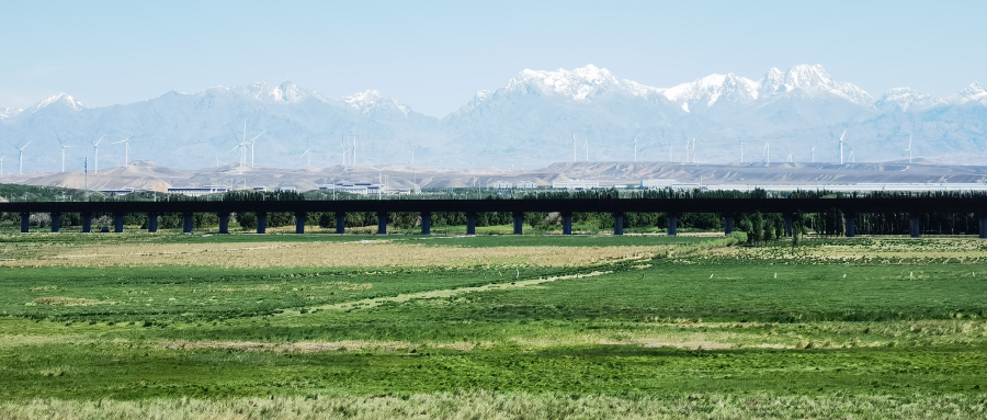 1739771152805684.png IMG_20230625_113904_副本.png