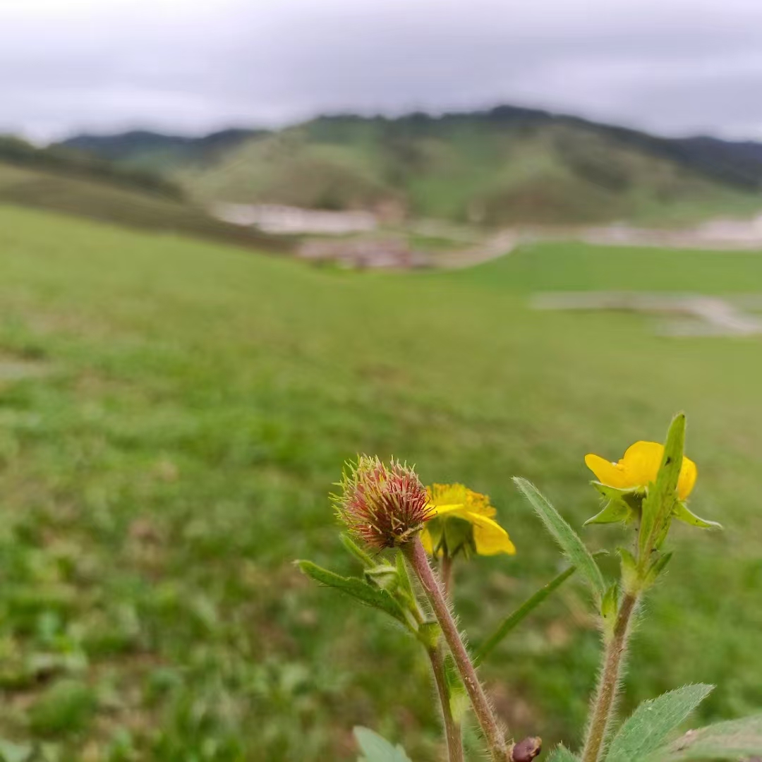 1739771500907411.jpg 微信图片_20240912111944.jpg