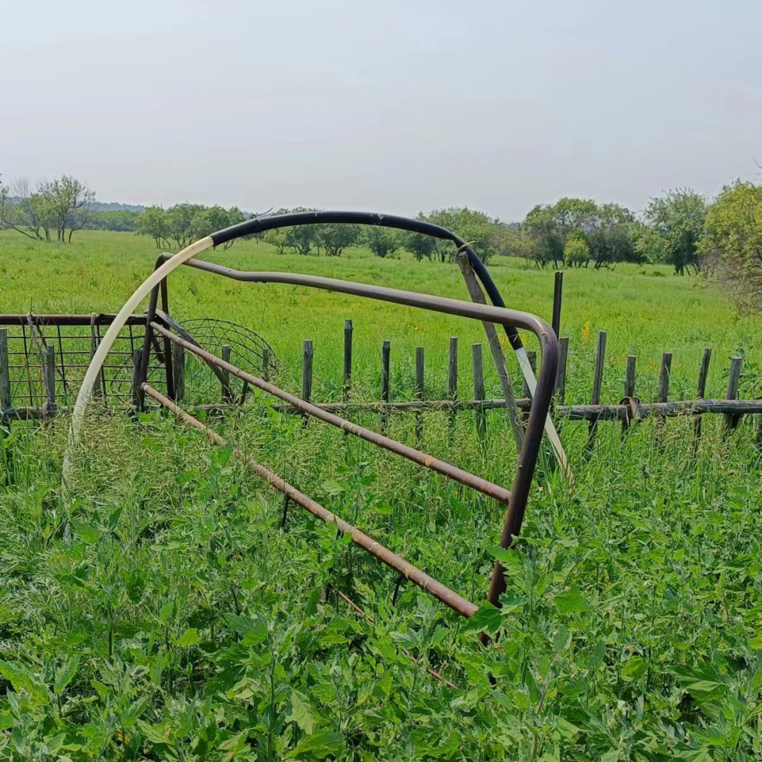 1739861964361940.png 05b56e987a84677fe73a0d5d0371896_副本.png