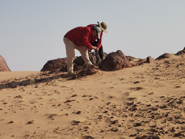 1741920577651931.png 67d149890af79.png