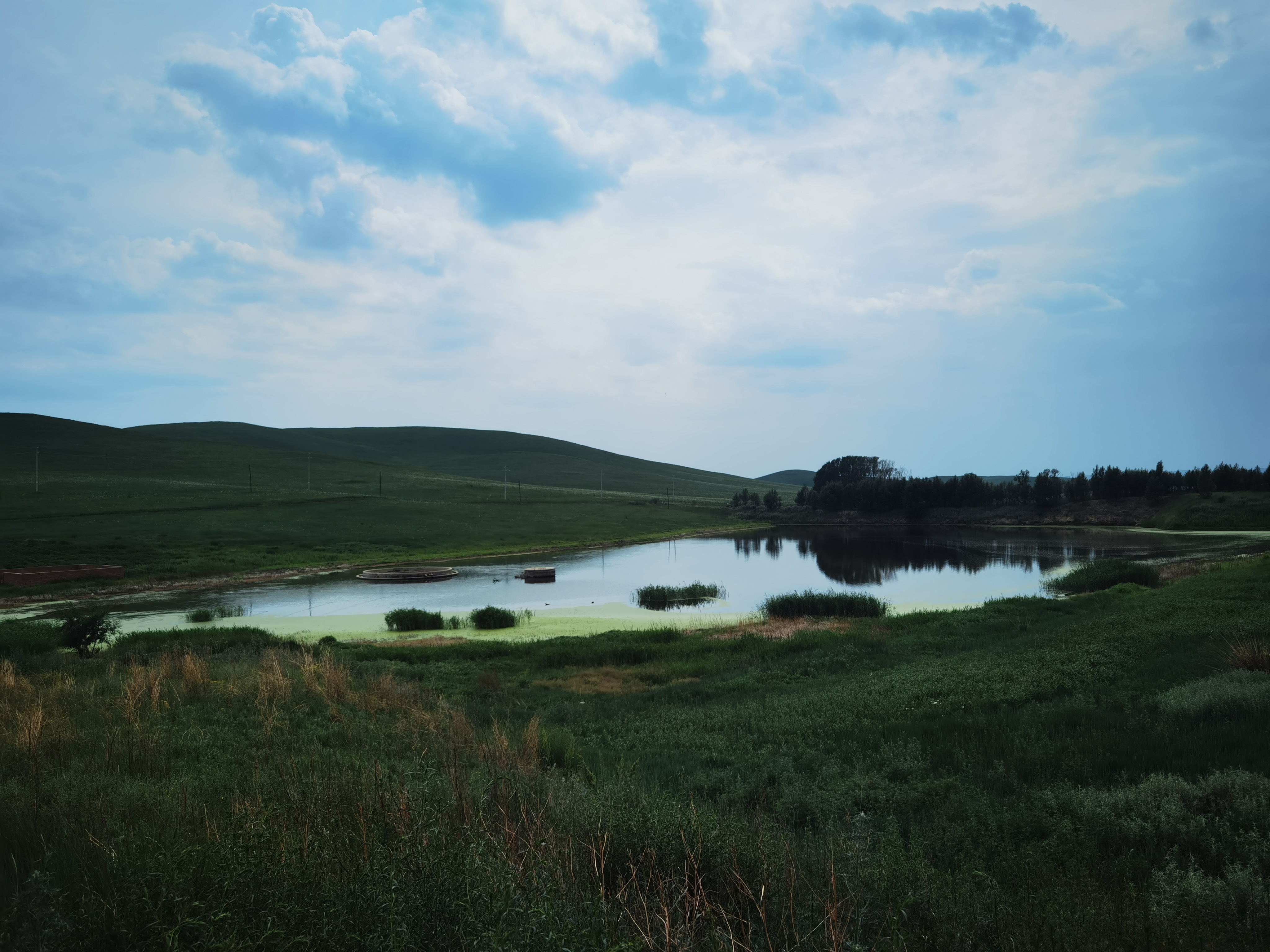 1744273904828361.jpg ea13b800f91f3c5eb5898c520fe5d33.jpg