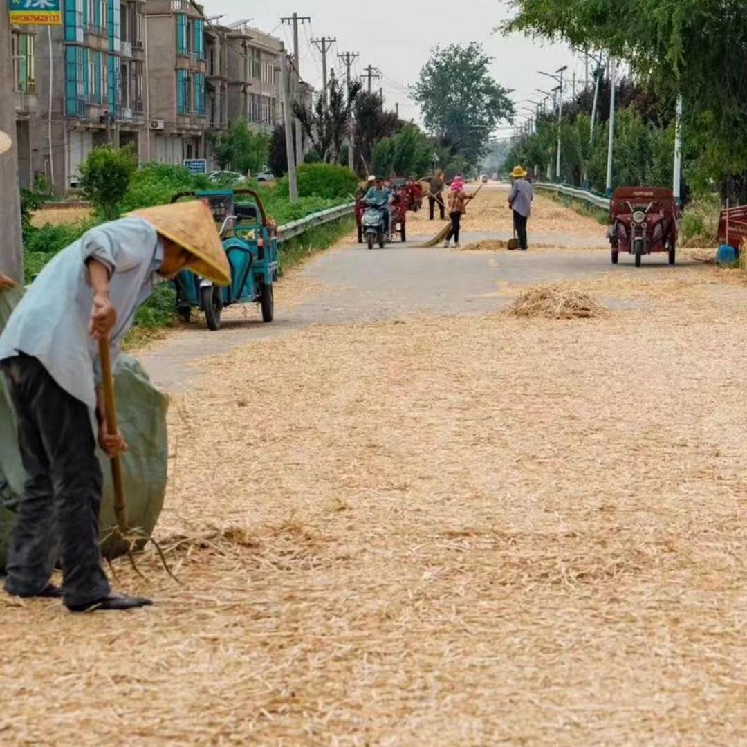 1749014726112183.png 微信图片_20250604132014_副本.png