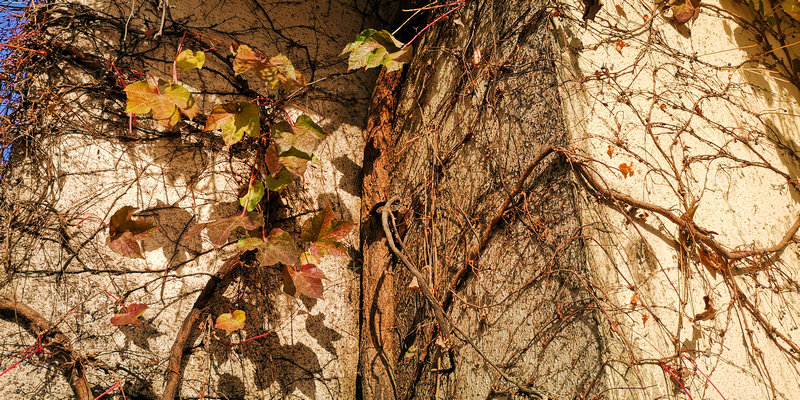 1749015377140886.jpg IMG_20181118_133823.jpg