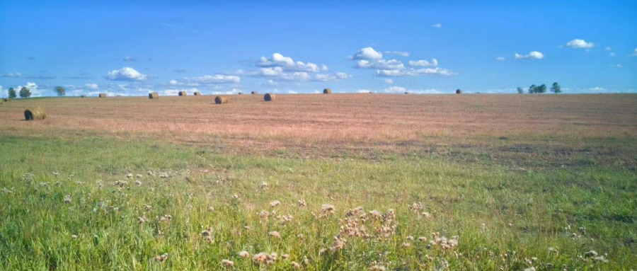 1749709843192395.png 微信图片_20240702154408_副本.png