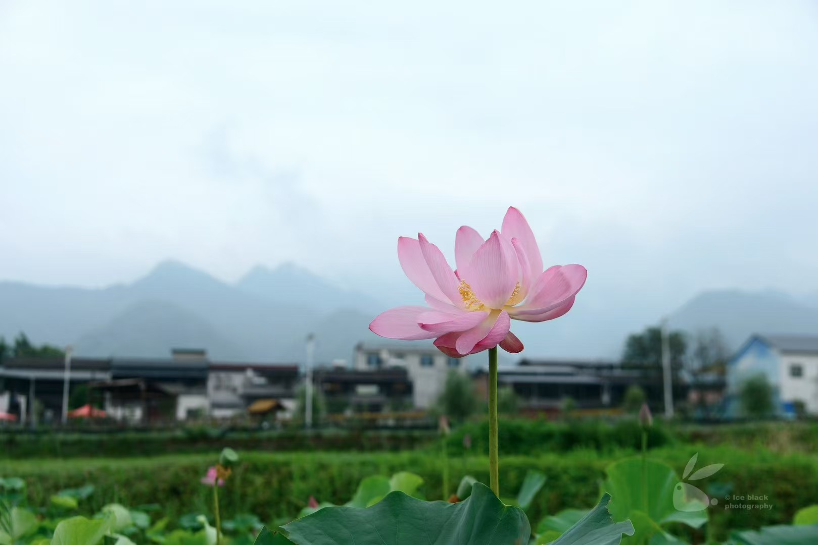 1750834787530581.jpg 微信图片_20250625145723.jpg