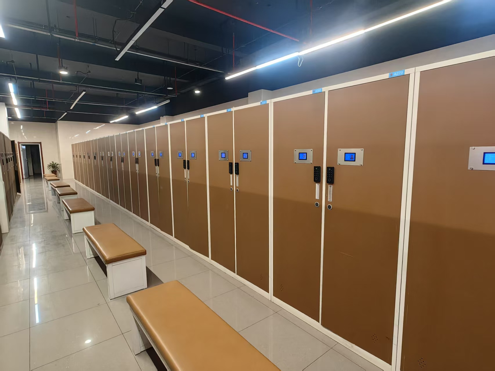 1754647344465259.jpg 图一.jpg